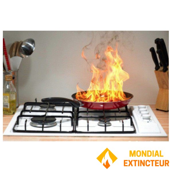 Compact design aerosol for fire starters - Extinc'torch