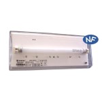 "Dual-function" SATI LEDs, model DIANA 6