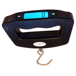 Electronic scale for fire extinguishers