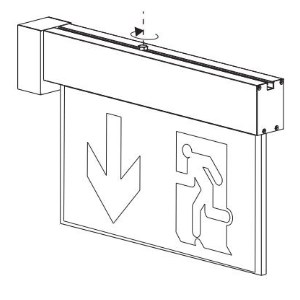 Grand Luxe "LUMINA" drainage unit for central source - Wall flag
