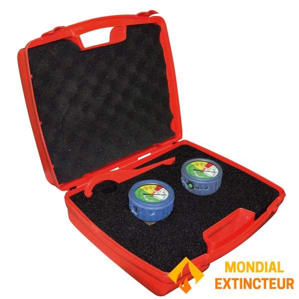 Inspection case for RIA DN25 and DN33 - Expanded scale