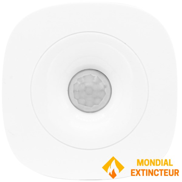 Motion detector - Radio