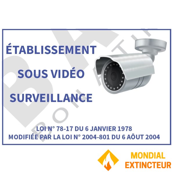 Panel A5 Video surveillance