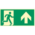 Photoluminescent evacuation FRONT panel 300 X 150 mm