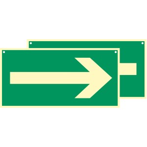 Photoluminescent sign with arrow on both sides - 600 x 300 mm