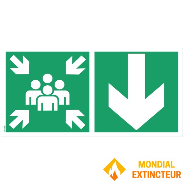 Pictograms assembly point "Bottom arrow" - PVC 500x250 mm