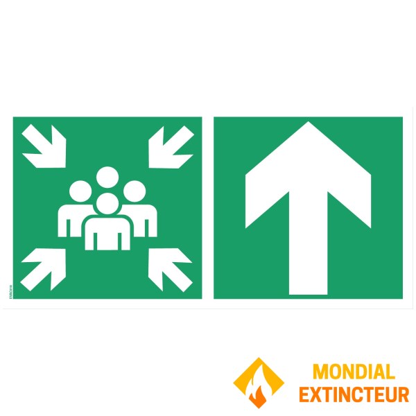 Pictograms assembly point "high arrow" - PVC 500x250 mm