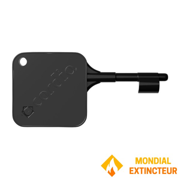 Reset key for DM Orexa and Agylus - Set of 10