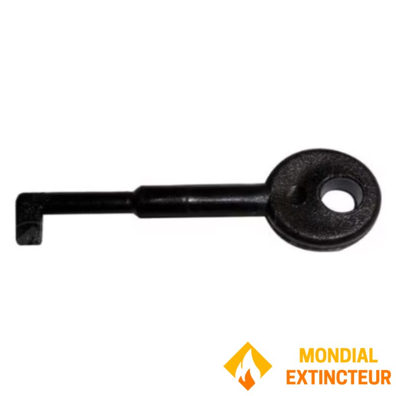 SIEMENS reset key N°3
