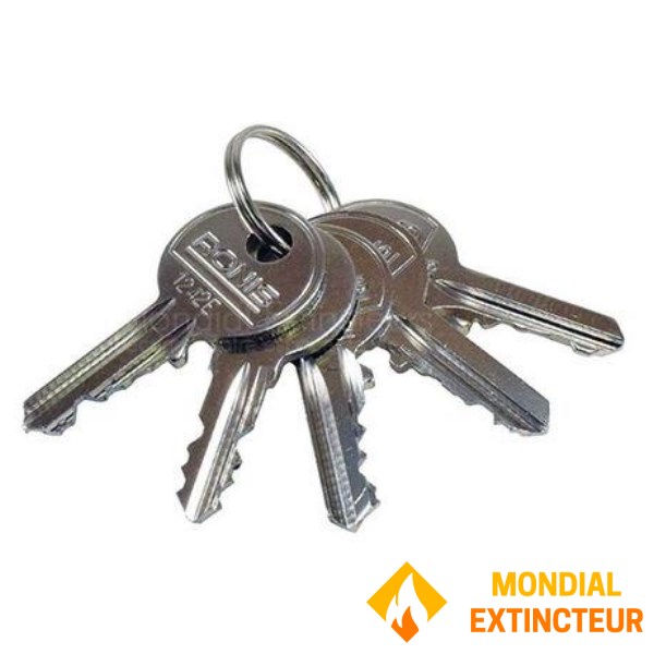 Set of 5 standardized security keys