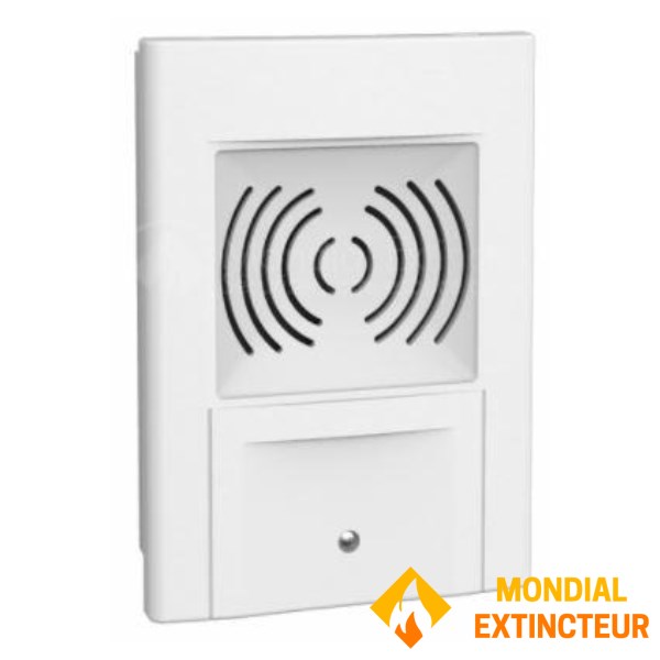 Sound diffuser with pre-recorded message