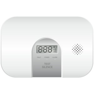 Stand-alone NF standard carbon monoxide detector with LCD display