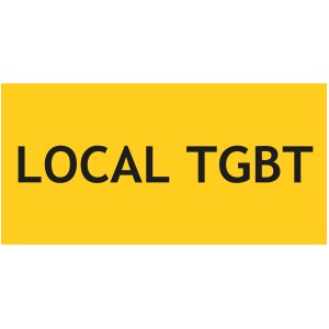 TGBT room panel - W.200 x H.100 mm