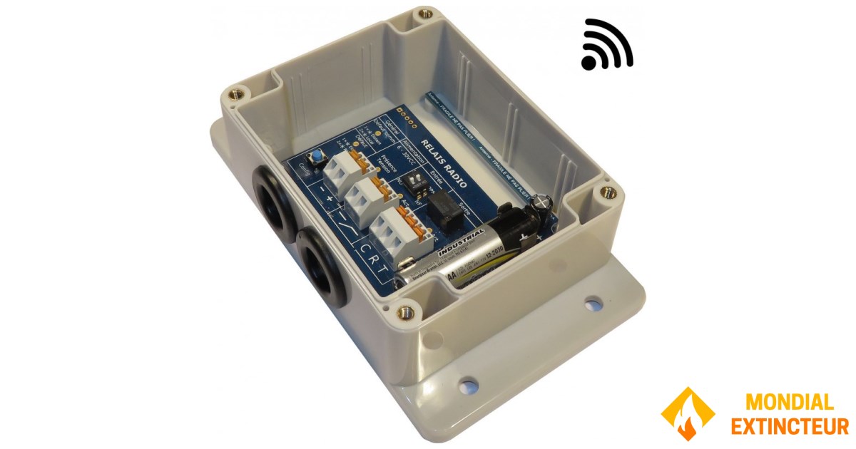 Radio Input Examples Type 4 radio input/output interface