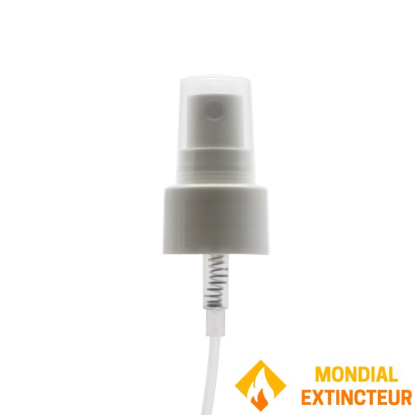 100 ml hydroalcoholic solution with spray diffuser