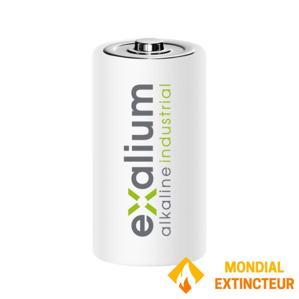 Pile Alcaline Exalium Industrielle LR20 - 1.5V