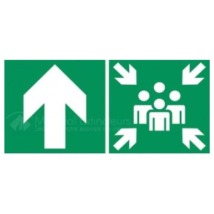 Assembly point sign - W.300 x H.150 mm