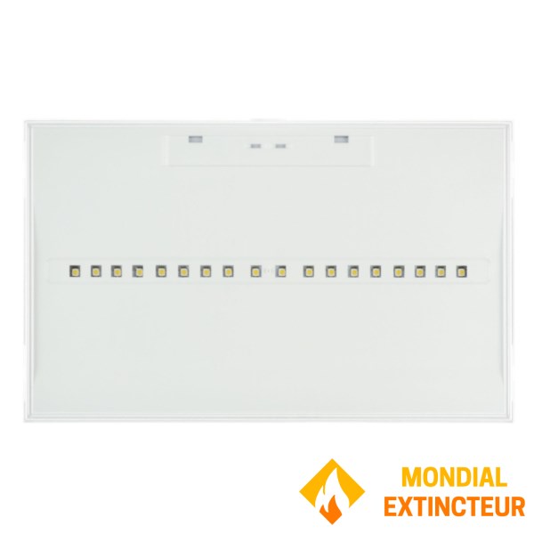 BAES Evacuation DBR "TOLEDO" Addressable DBR