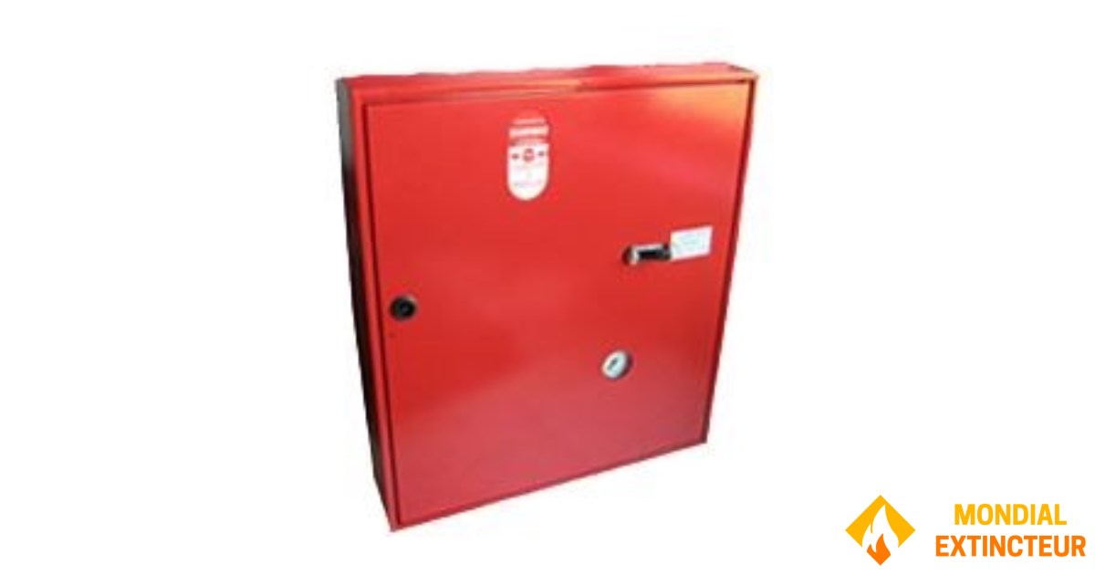 CO2 Box Bizone 