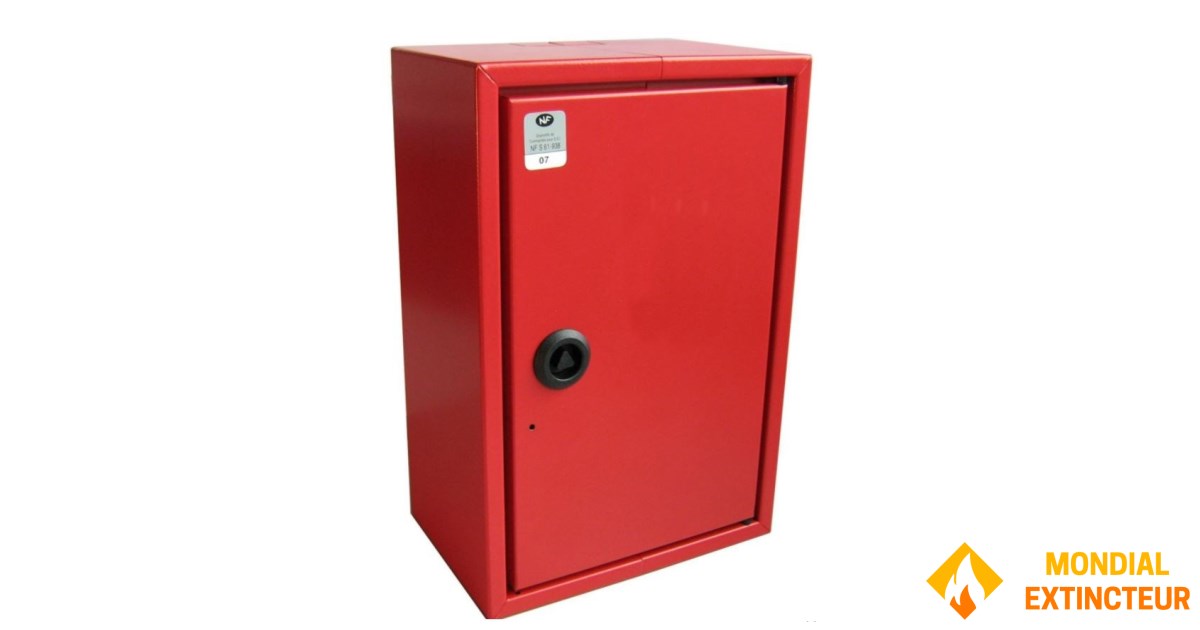 CO2 Open/Closed Box 25gr - Solid Door