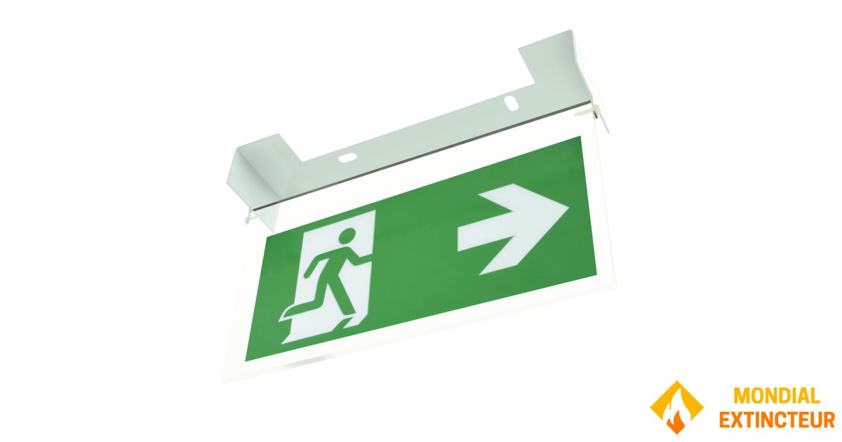 Ceiling or wall-mounted label holder Model 