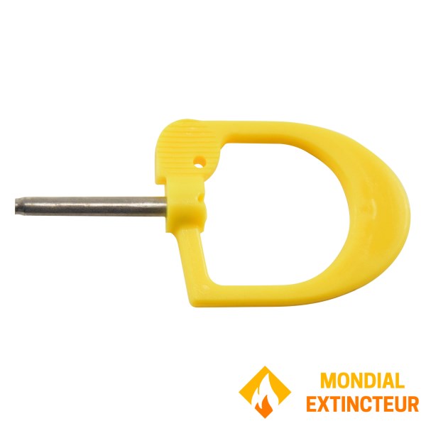 Desautel pin P3 P4 P6 P9