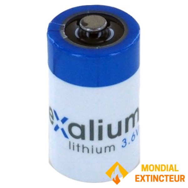 EXALIUM Industrial Lithium Battery 1/2AA - 3.6V - 1.2Ah