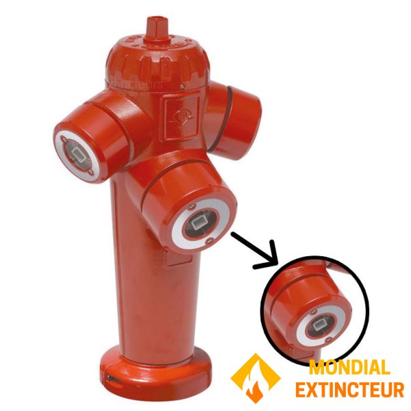 Guillemin DN100 symmetrical plug with seal + chain + operating square