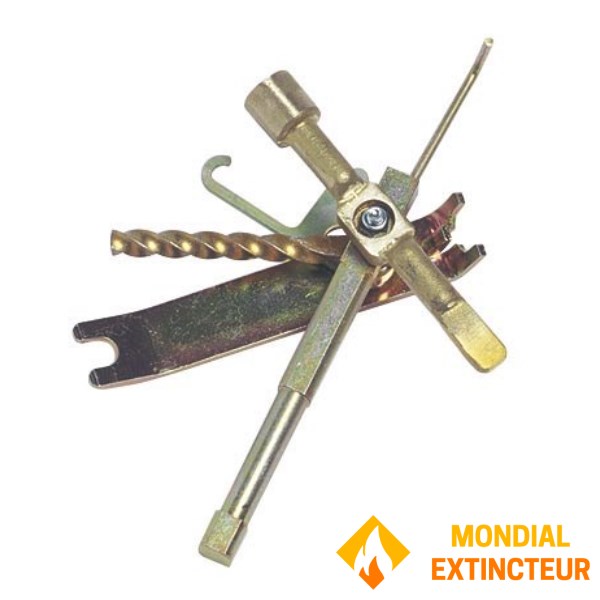 "Météor" type Gaz de France-approved gas key