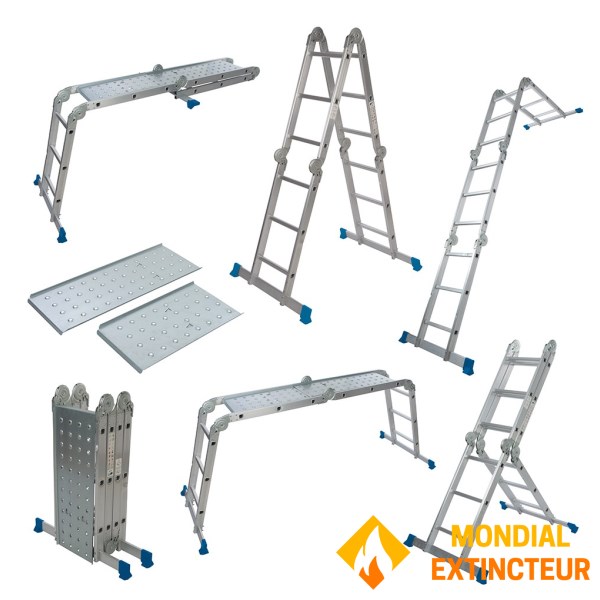 Multifunction ladder with platform