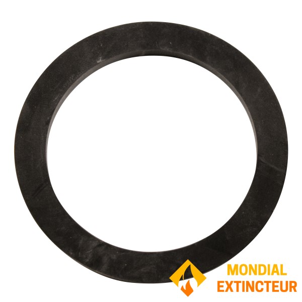 Pack of 10 Eurofeu SPIT Mistral lip seals