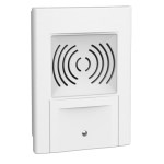 Sound diffuser with recorded message