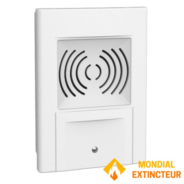 Sound diffuser with recorded message