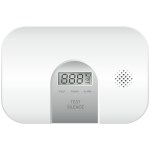 Stand-alone NF standard carbon monoxide detector with LCD screen