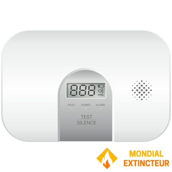 Stand-alone NF standard carbon monoxide detector with LCD screen