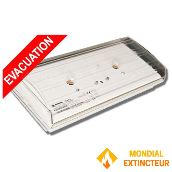 Standard emergency lighting units "for" standby mode DIANA 6 WITH LABEL
