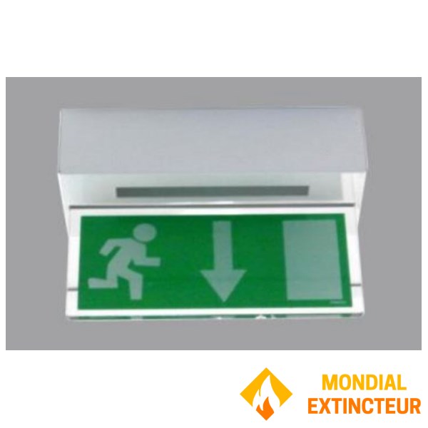 Surface-mounted metal enclosure for ceilings