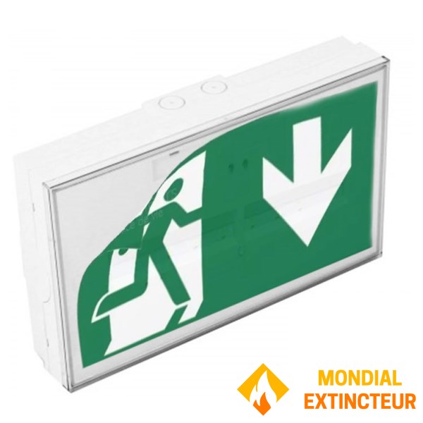 "TOLEDO" Dual Function Addressable Emergency Lighting System