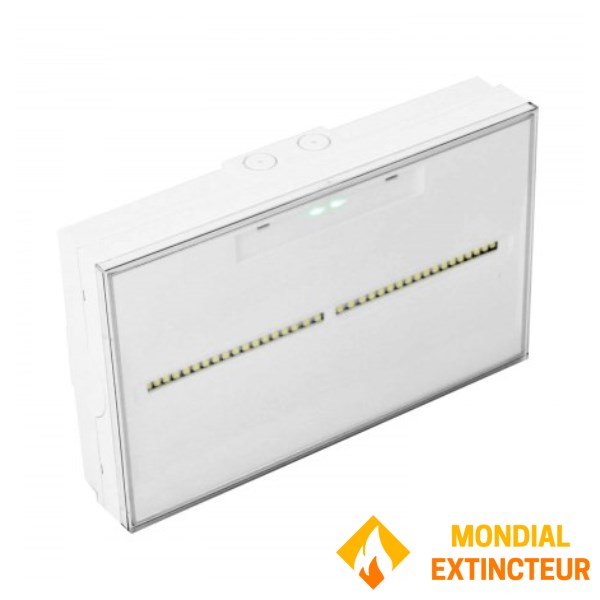 "TOLEDO" Dual Function Addressable Emergency Lighting System