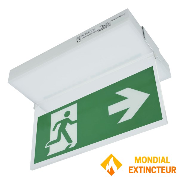 "TOLEDO" Dual Function Addressable Emergency Lighting System