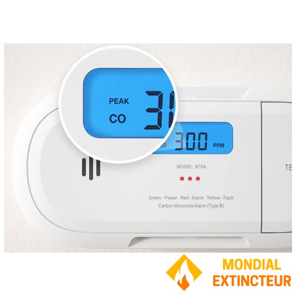 WiFi connected stand-alone carbon monoxide detector