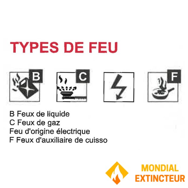 Aerosol de diseño compacto para encender fuego - Extinc'torch