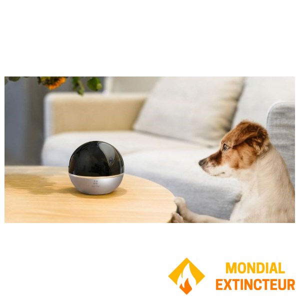 Caméra d'intérieur 360° connectée - secteur - Wifi