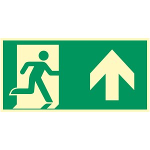 Evacuación fotoluminiscente Panel FRONTAL 300 X 150 mm