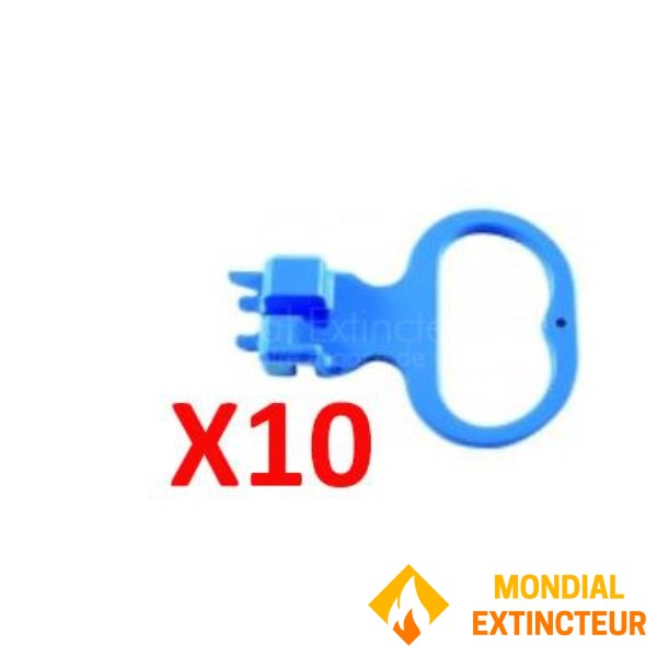 Lote de 10 alfileres Andrieu Vulcain, gama de agua nueva