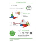 Material de formación - Primeros auxilios: revisión