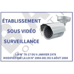 Panel A5 Videovigilancia