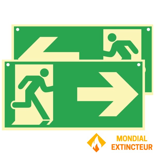 Paneles fotoluminiscentes de PVC 600 x 300 mm anverso/reverso