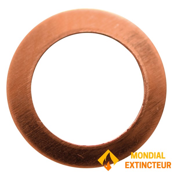 Paquete de 100 arandelas 9,7x6,7x0,4