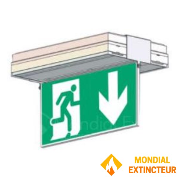 Porte serigrafata a rilievo per soffitto, monofacciale